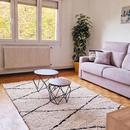 Le Cosy Des Marronniers - 6 Pers Apartment Selestat Bagian luar foto