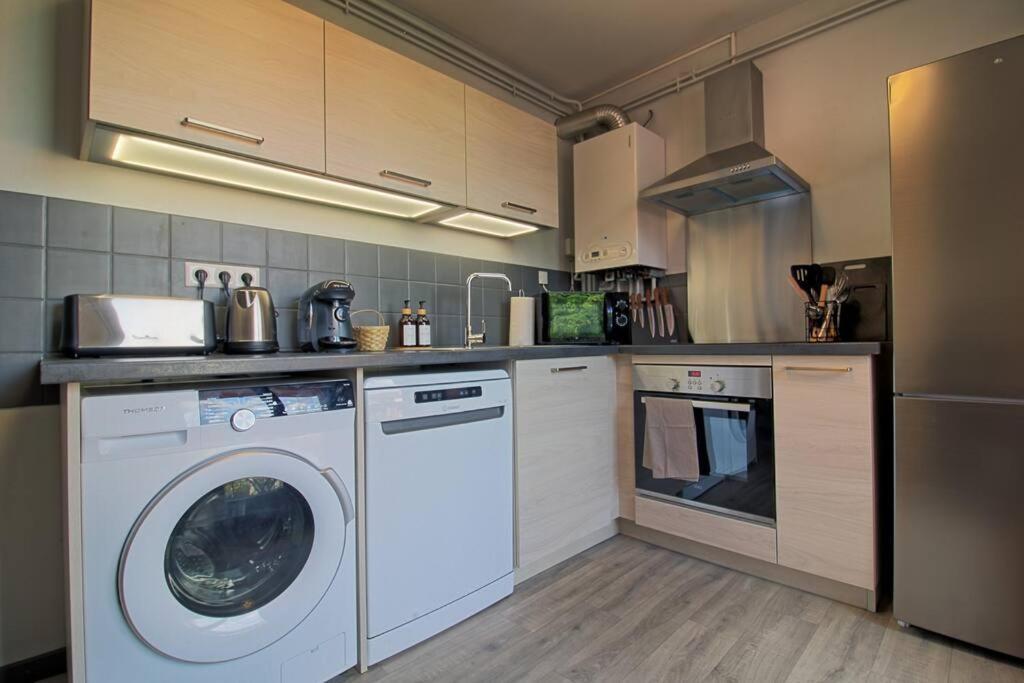 Le Cosy Des Marronniers - 6 Pers Apartment Selestat Bagian luar foto